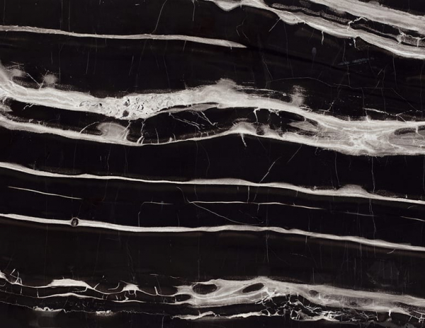 سيلفر بورتورو